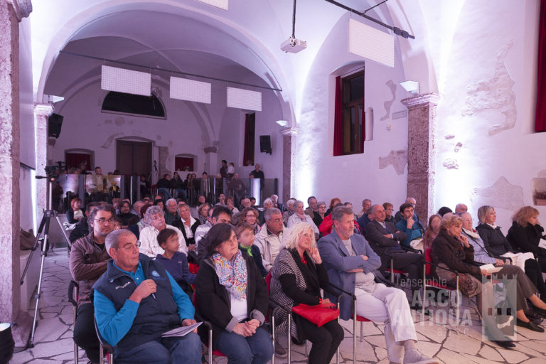 Il pubblico
