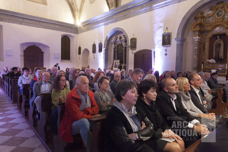 Il pubblico