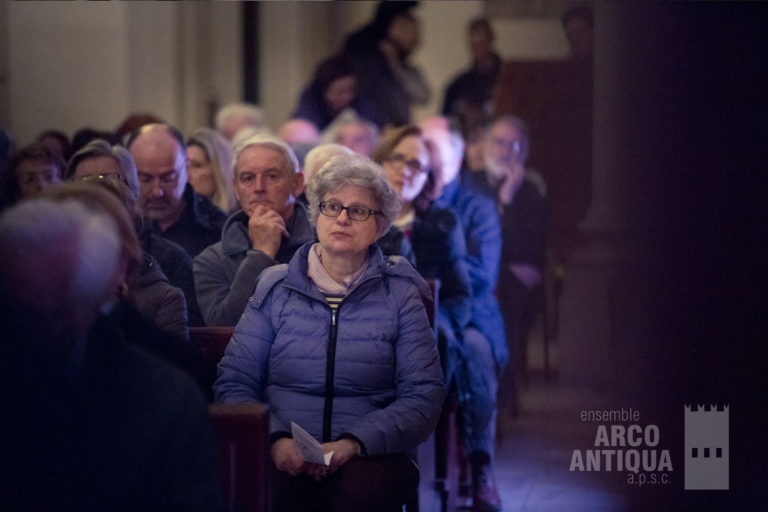 Il pubblico