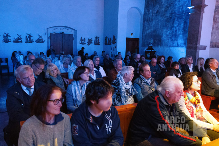 Il pubblico