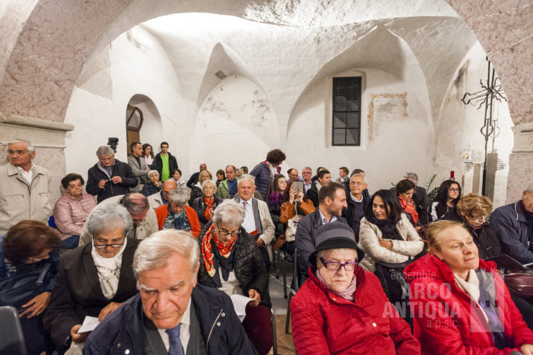 Il pubblico