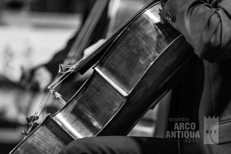 Ensemble Arco Antiqua