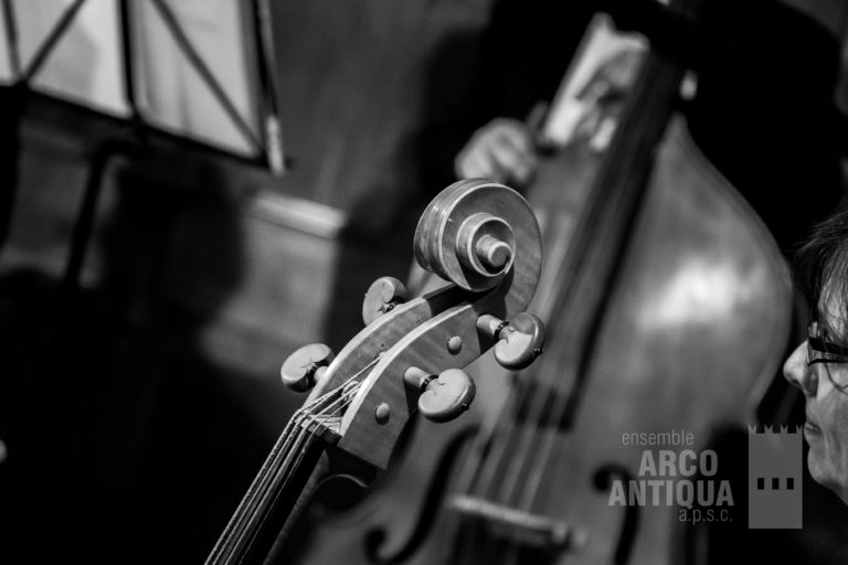 Ensemble Arco Antiqua