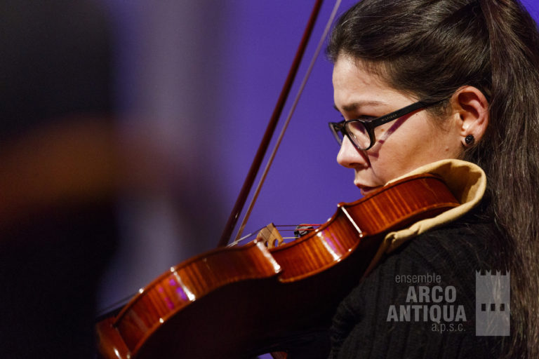 Ensemble Arco Antiqua
